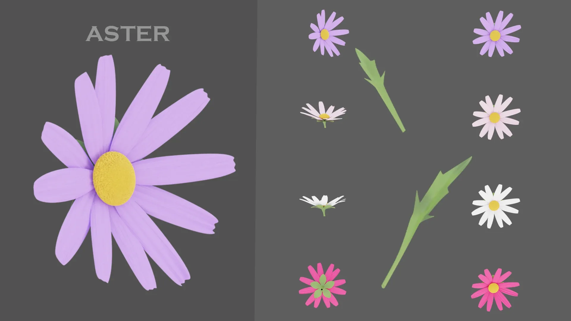 11 type of Garden flowers-Game Ready