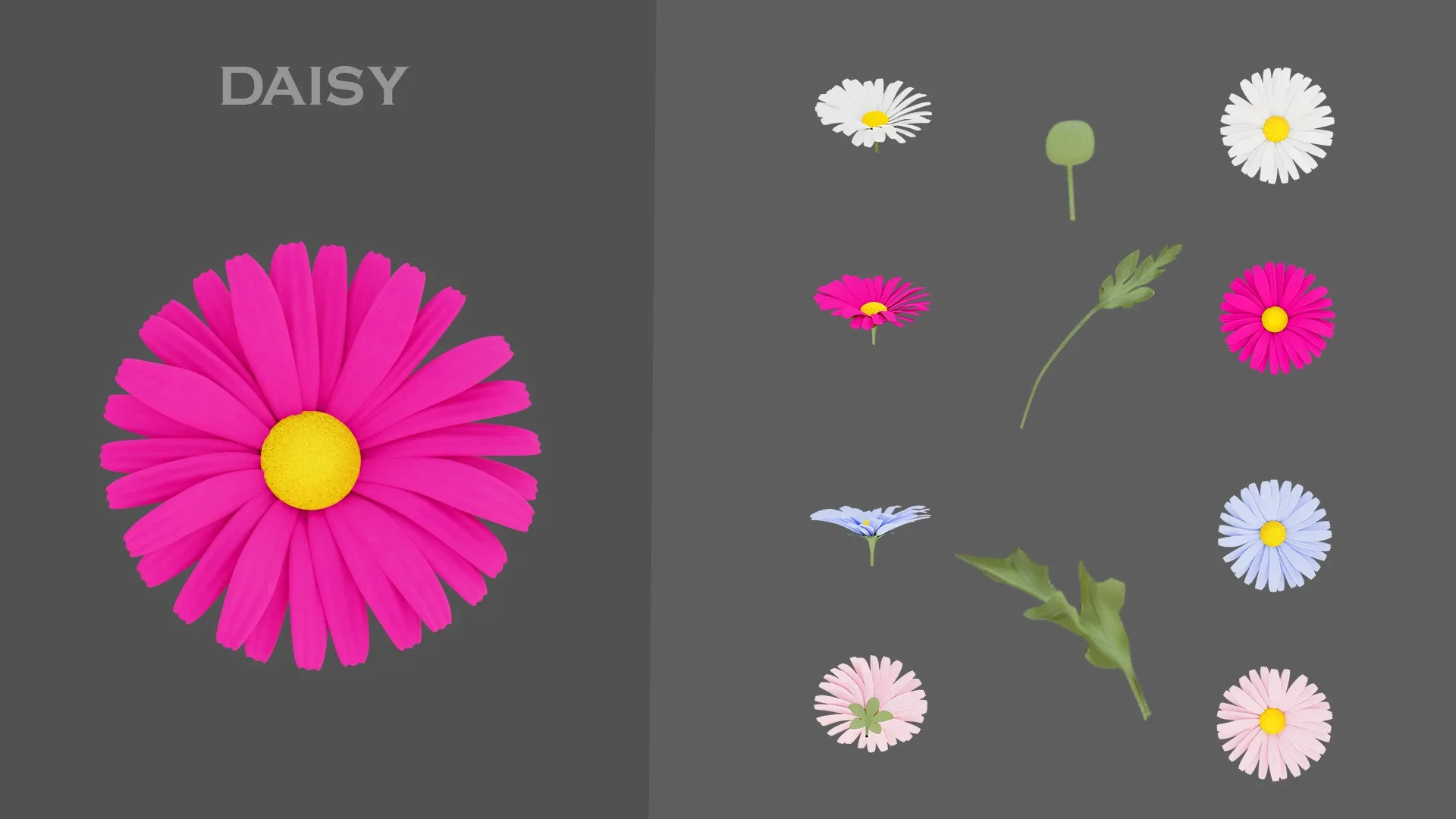 11 type of Garden flowers-Game Ready