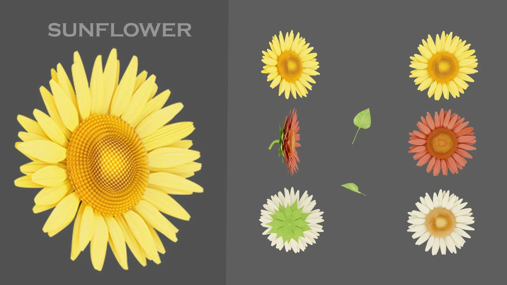 11 type of Garden flowers-Game Ready