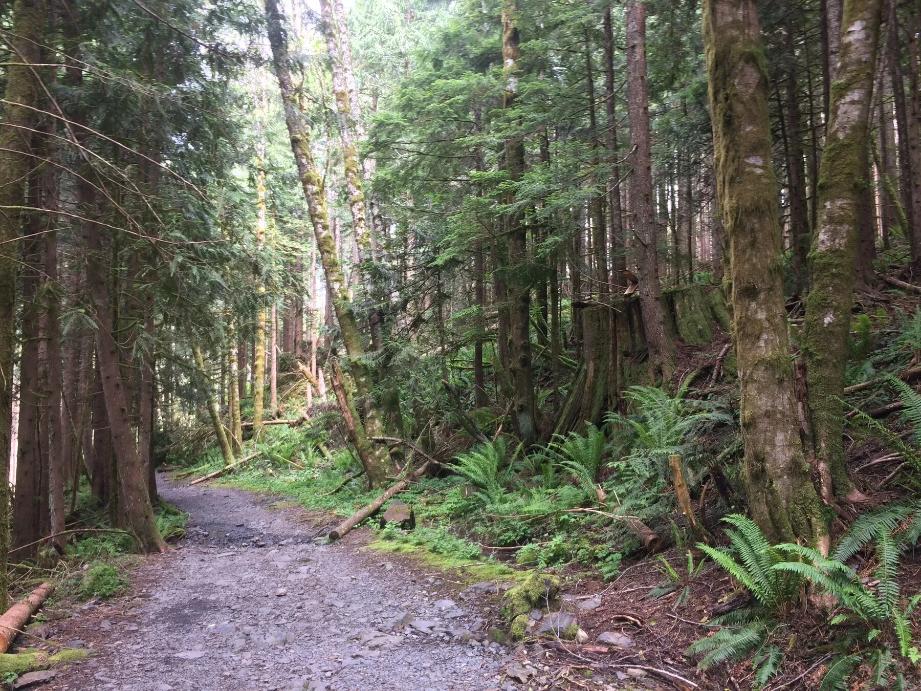 +500 Pacific Northwest Trails Reference Photos - Vol 1