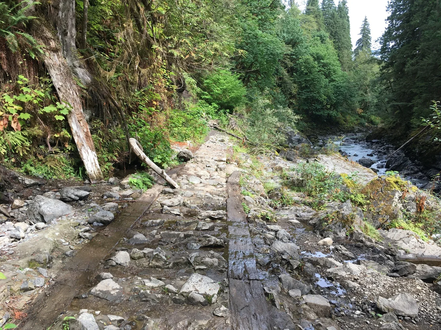 +375 Pacific Northwest Trails Reference Photos - Vol 2