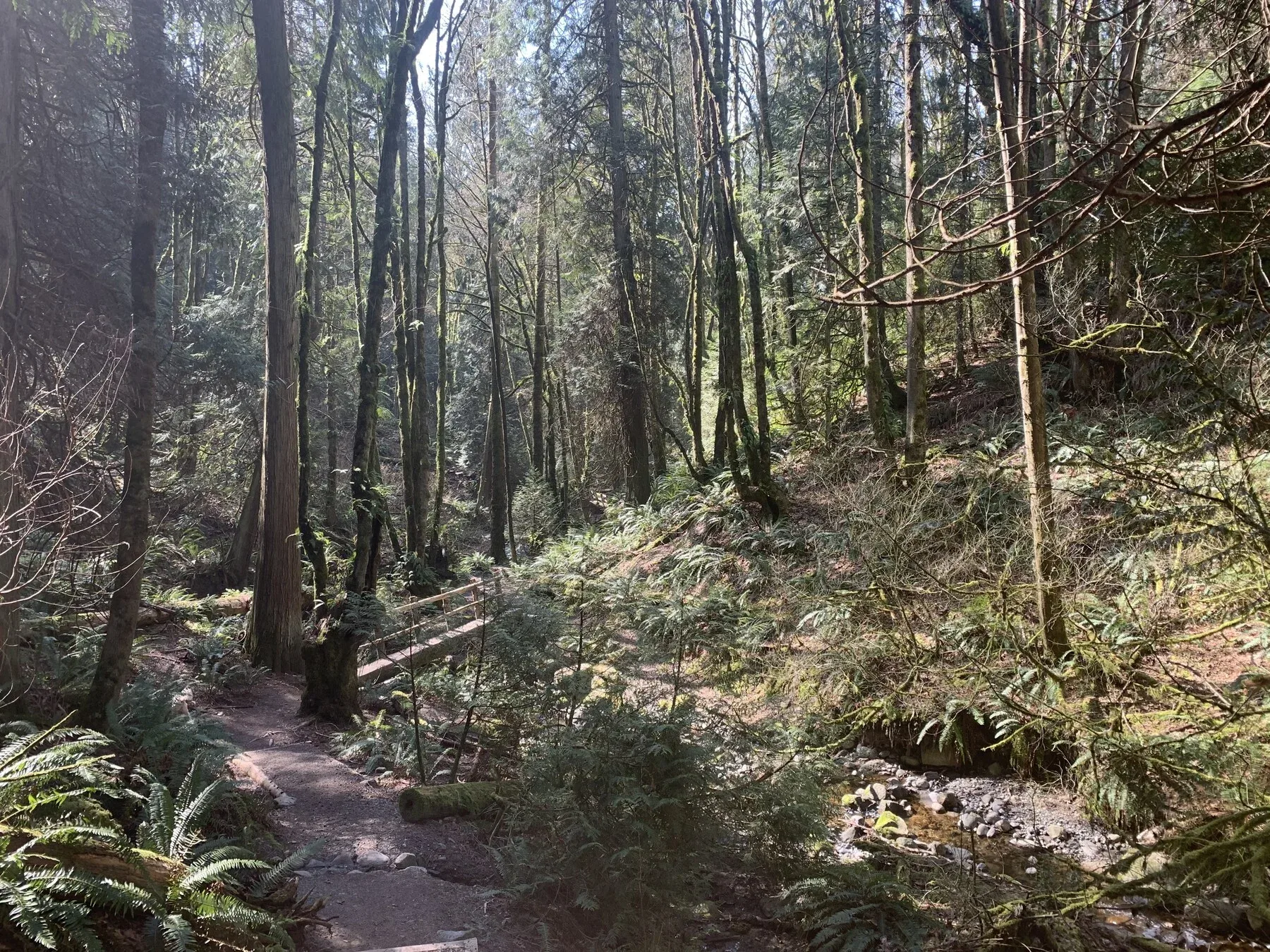 +425 Pacific Northwest Trails Reference Photos - Vol 3