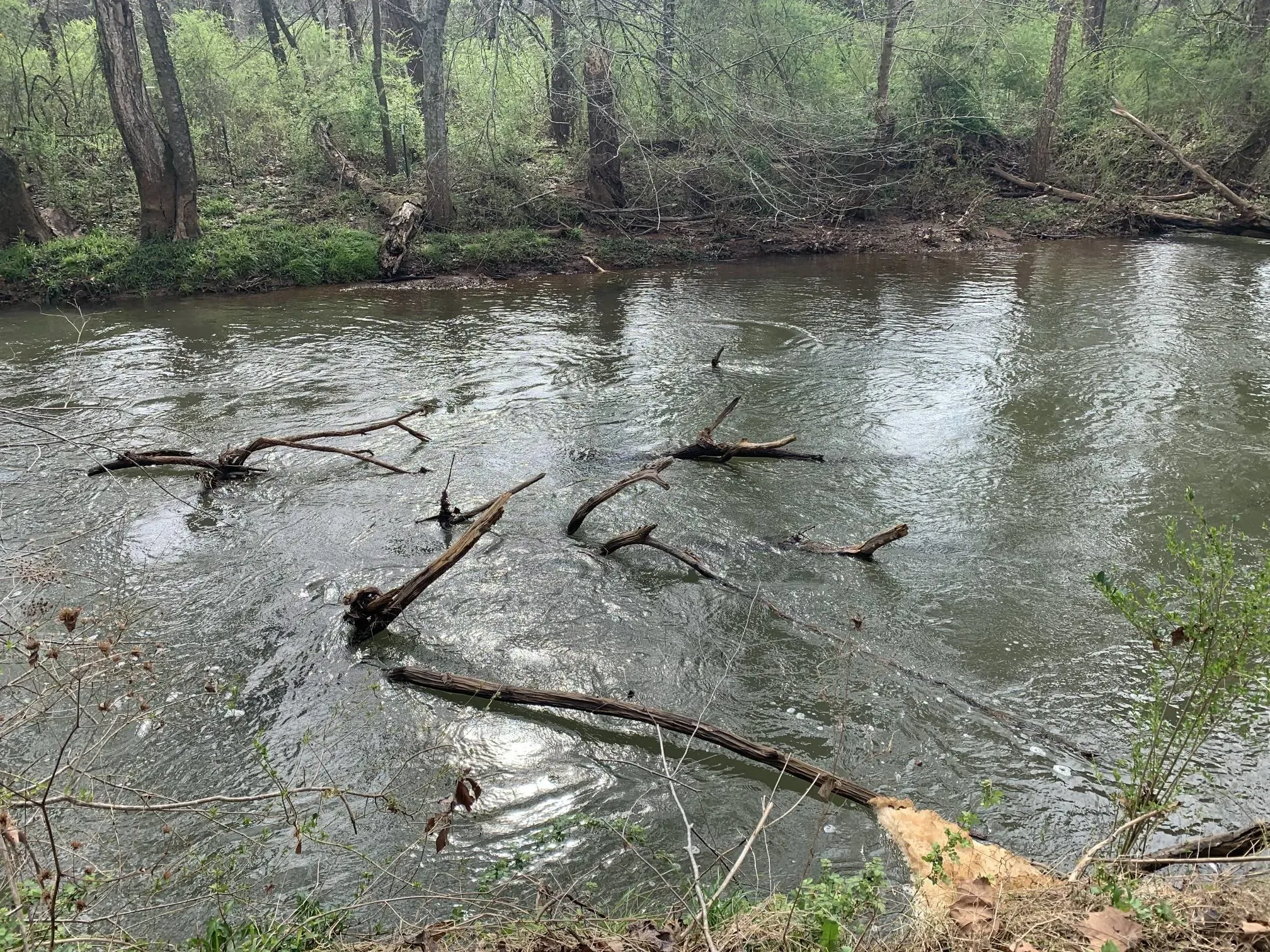 +500 Southeastern Nature Trails Reference Photos - Vol 02