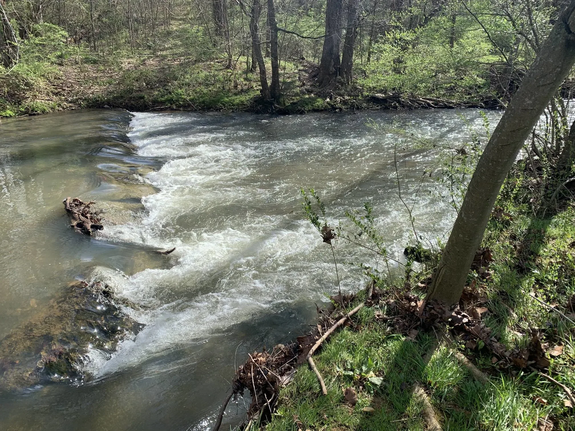 +500 Southeastern Nature Trails Reference Photos - Vol 02