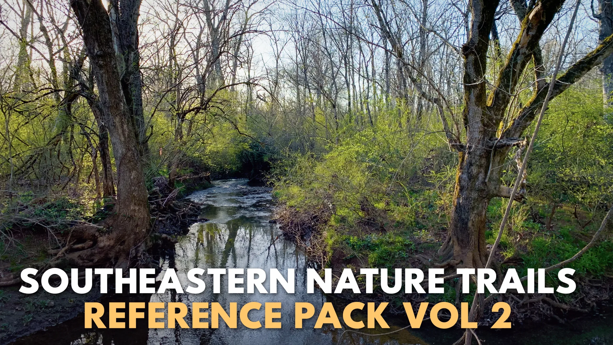 +500 Southeastern Nature Trails Reference Photos - Vol 02