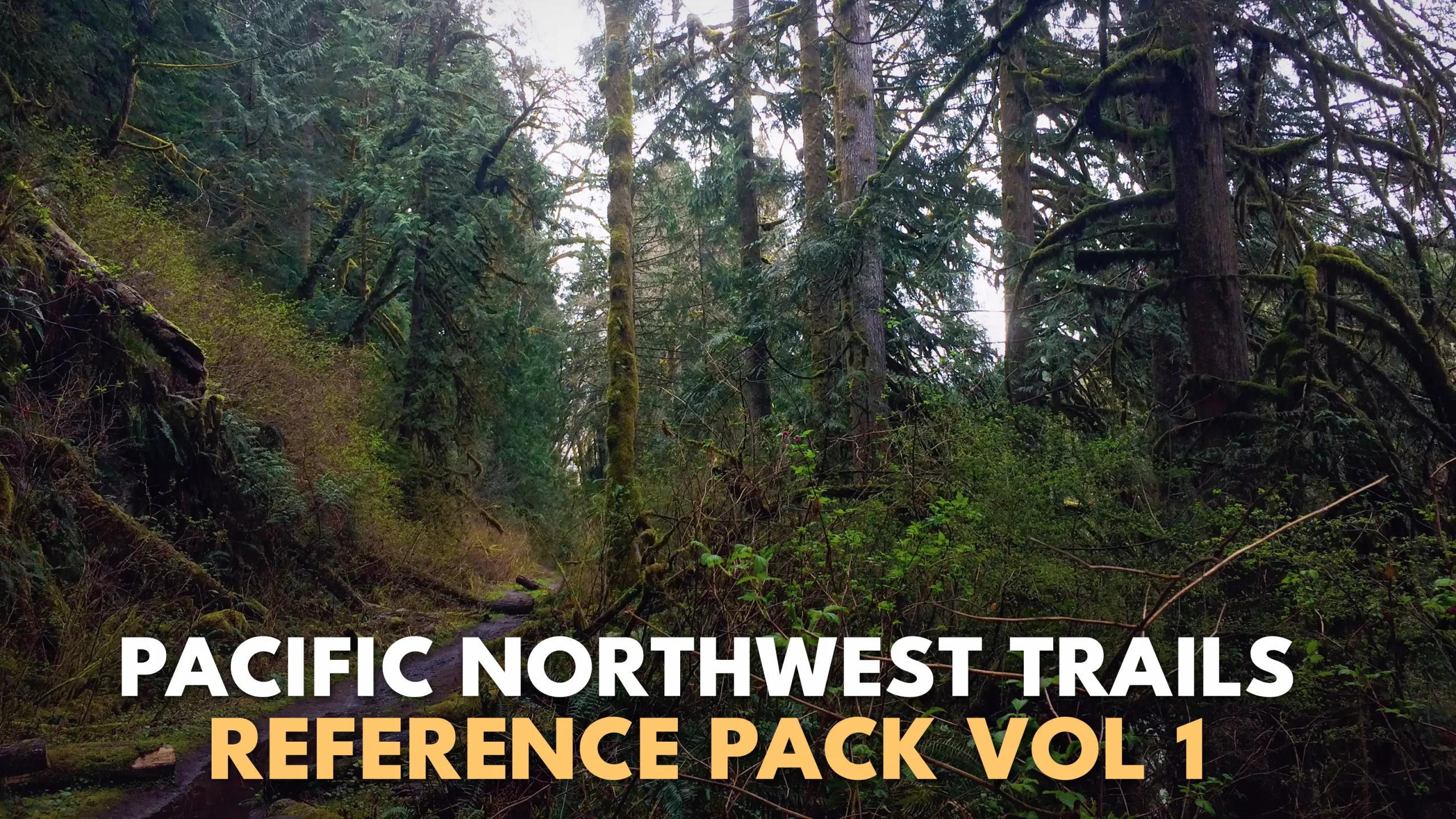 +500 Pacific Northwest Trails Reference Photos - Vol 1