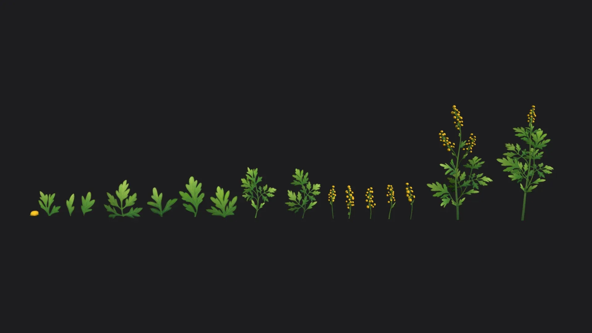 Wormwood stylized plant Low-poly 3D model