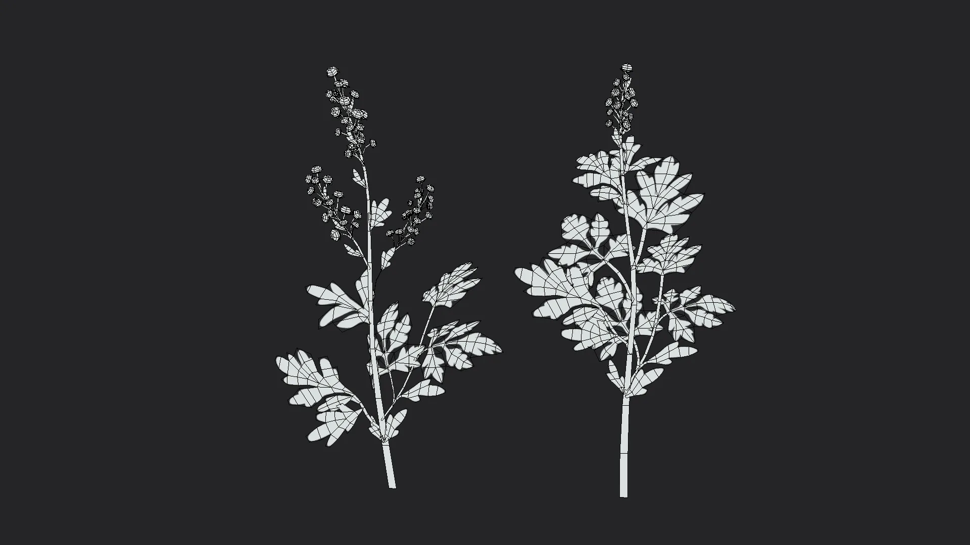 Wormwood stylized plant Low-poly 3D model