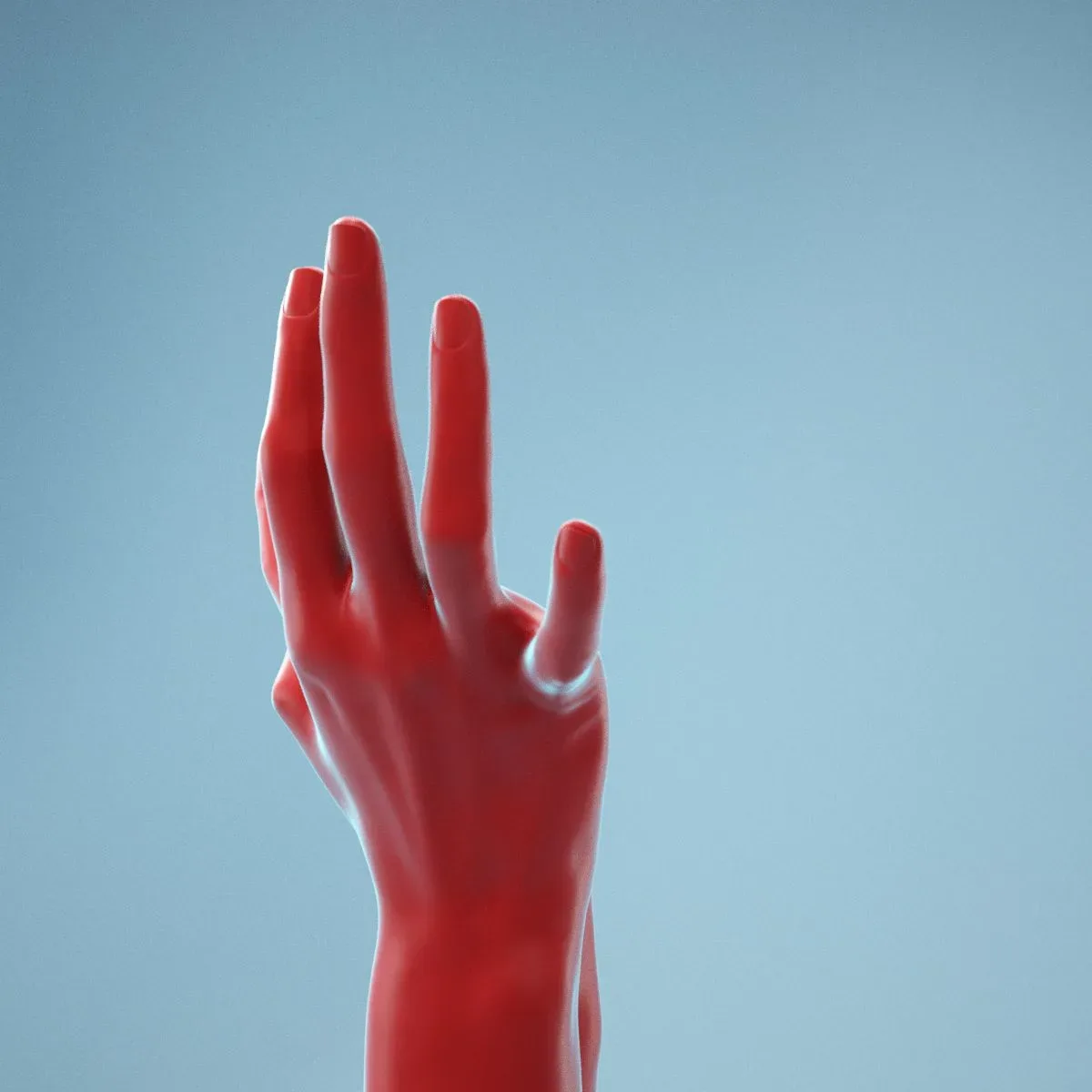 Hands Thumb Touching Realistic Hands