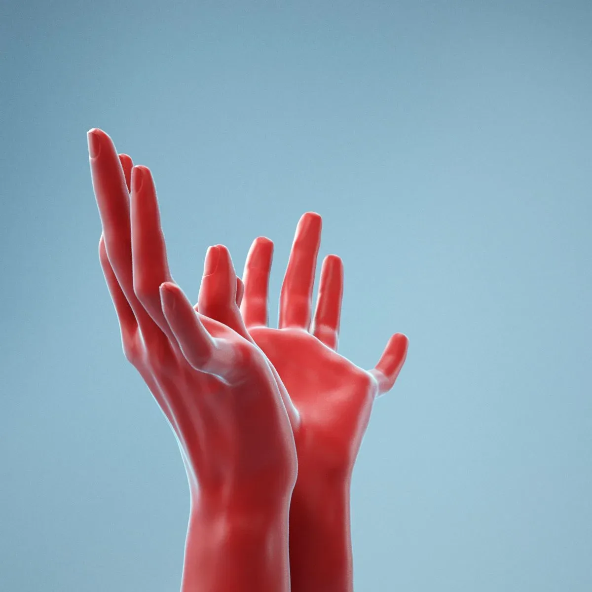 Hands Thumb Touching Realistic Hands