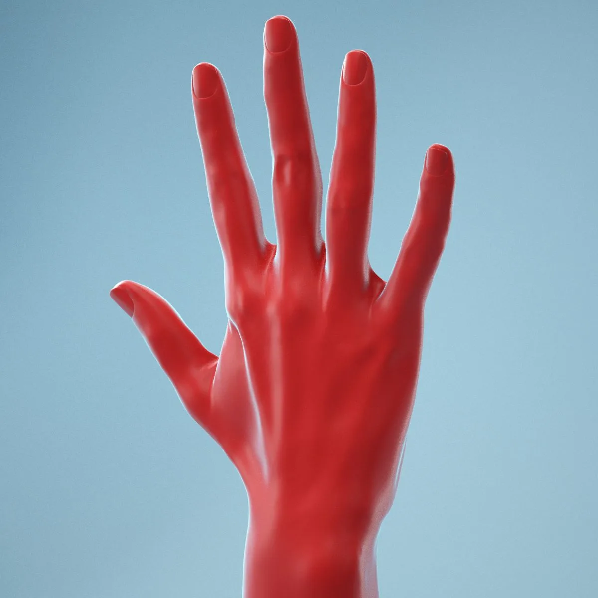Standard Pose Realistic Hand