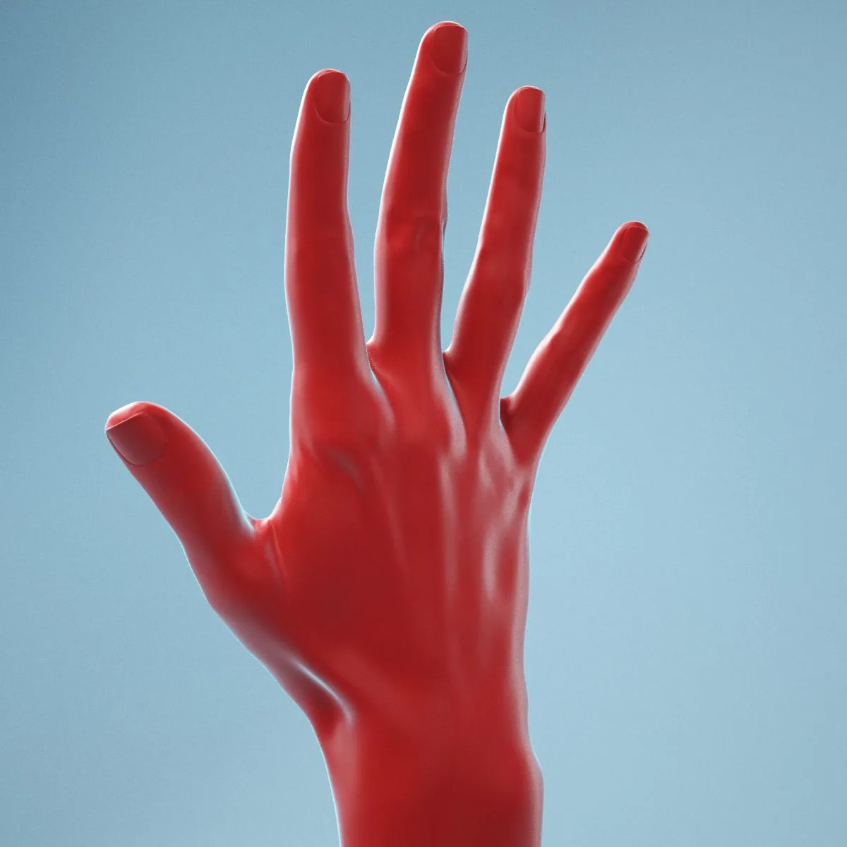 Standard Pose Realistic Hand