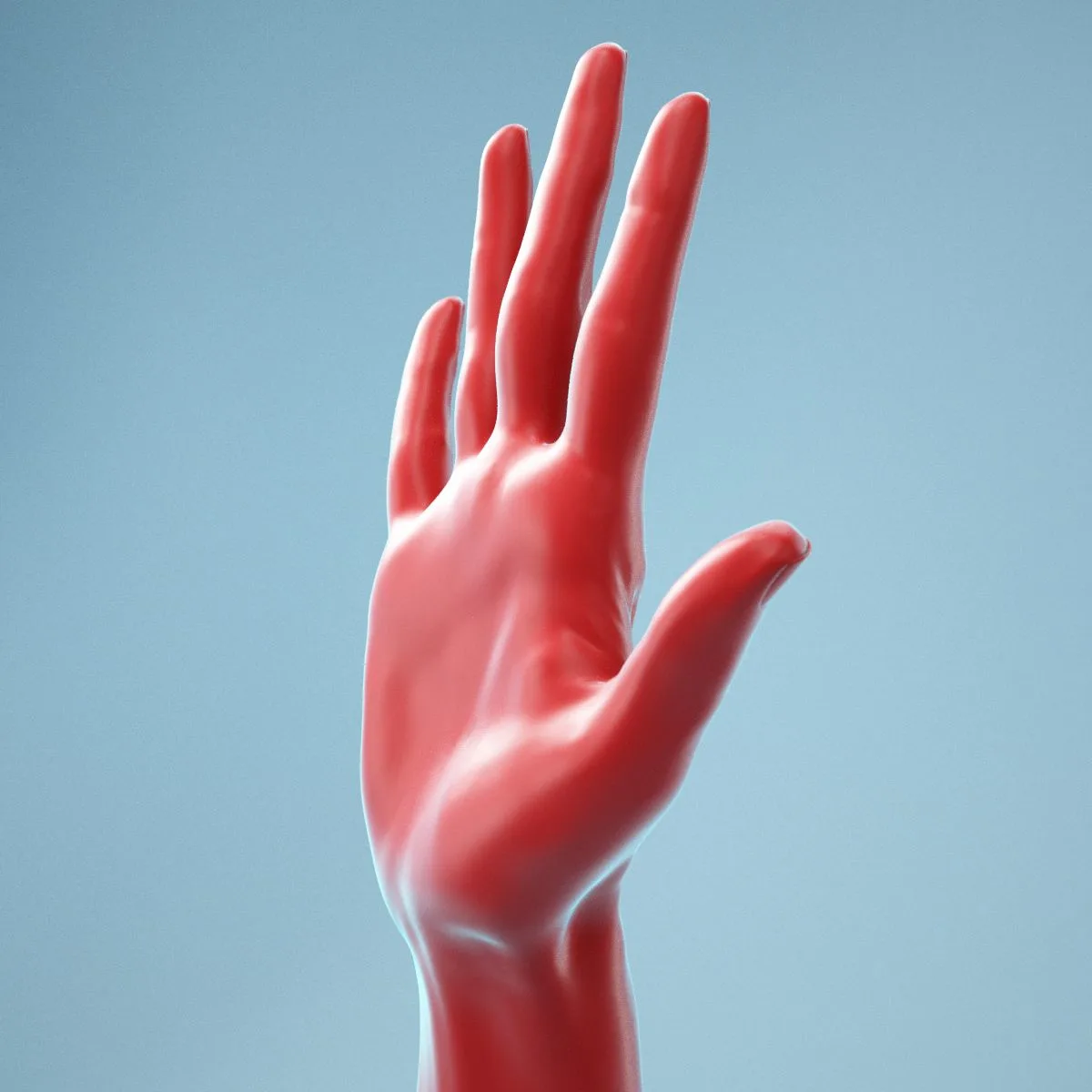 Standard Pose Realistic Hand