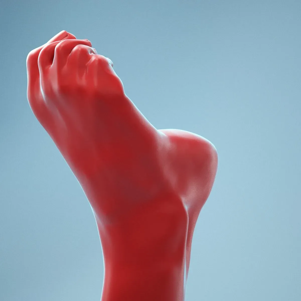 Claw Foot Realistic Foot