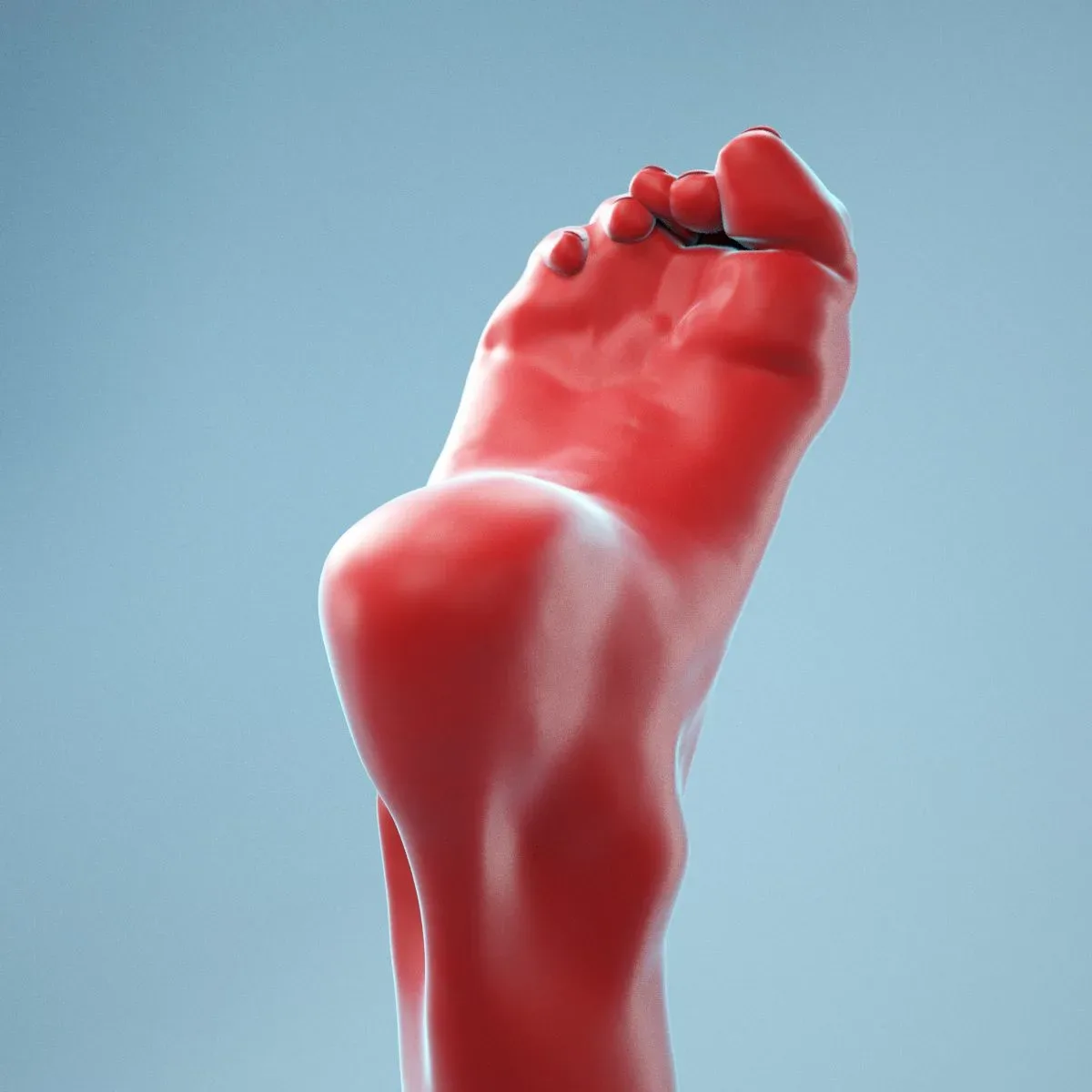 Claw Foot Realistic Foot FlippedNormals