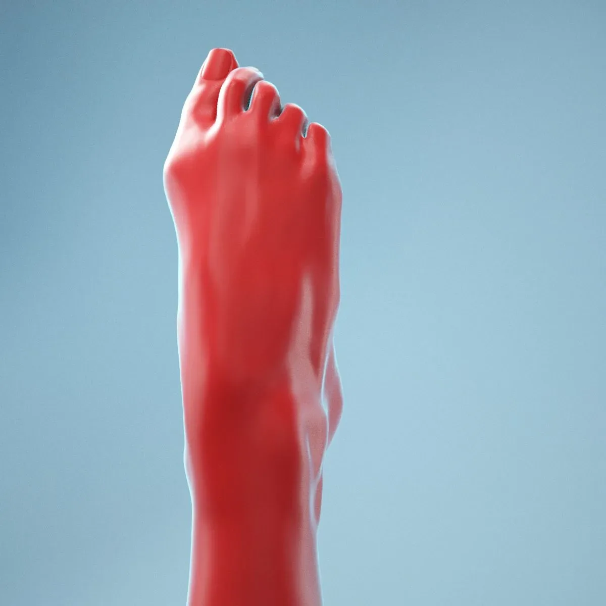 Crunched Toes Realistic Foot