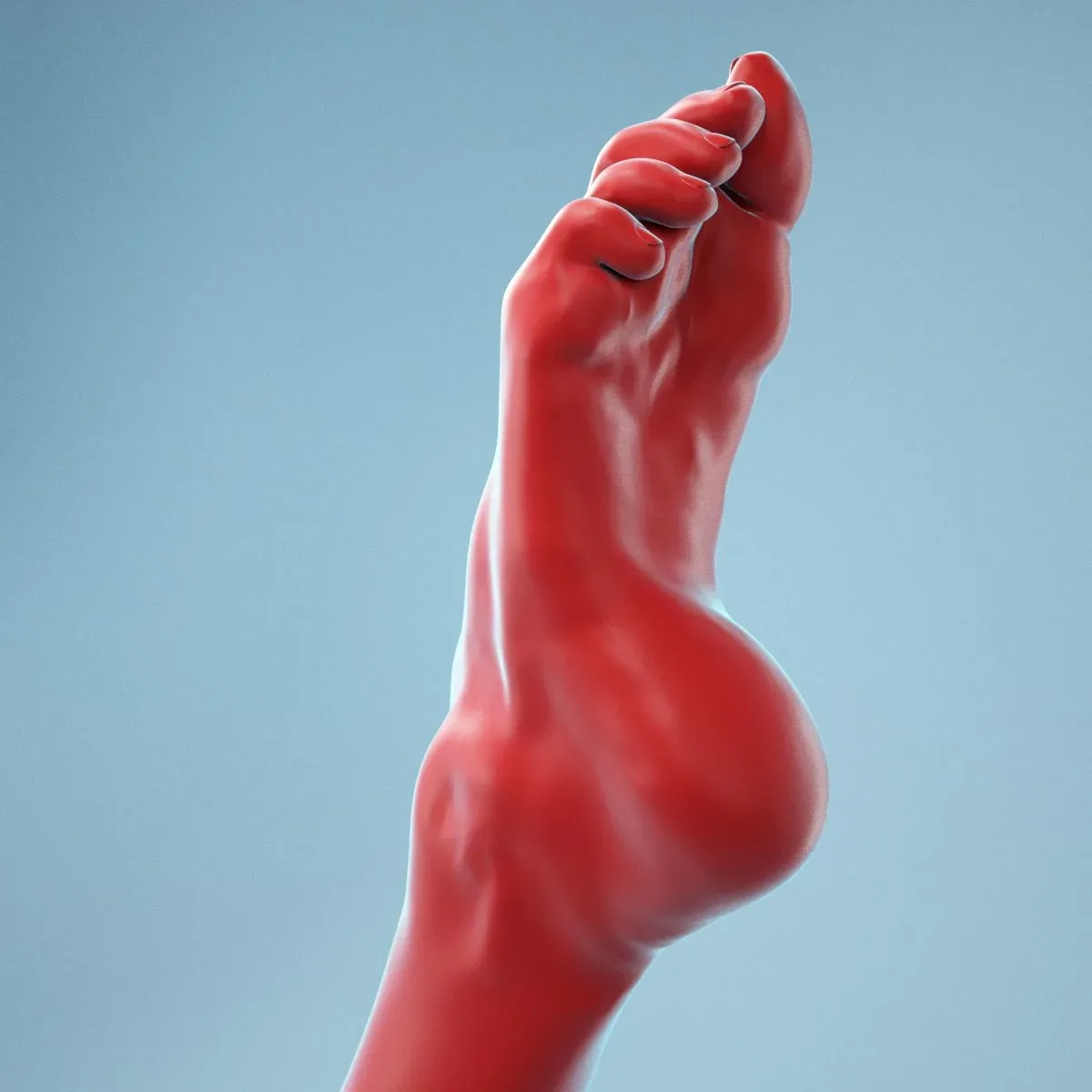 Crunched Toes Realistic Foot