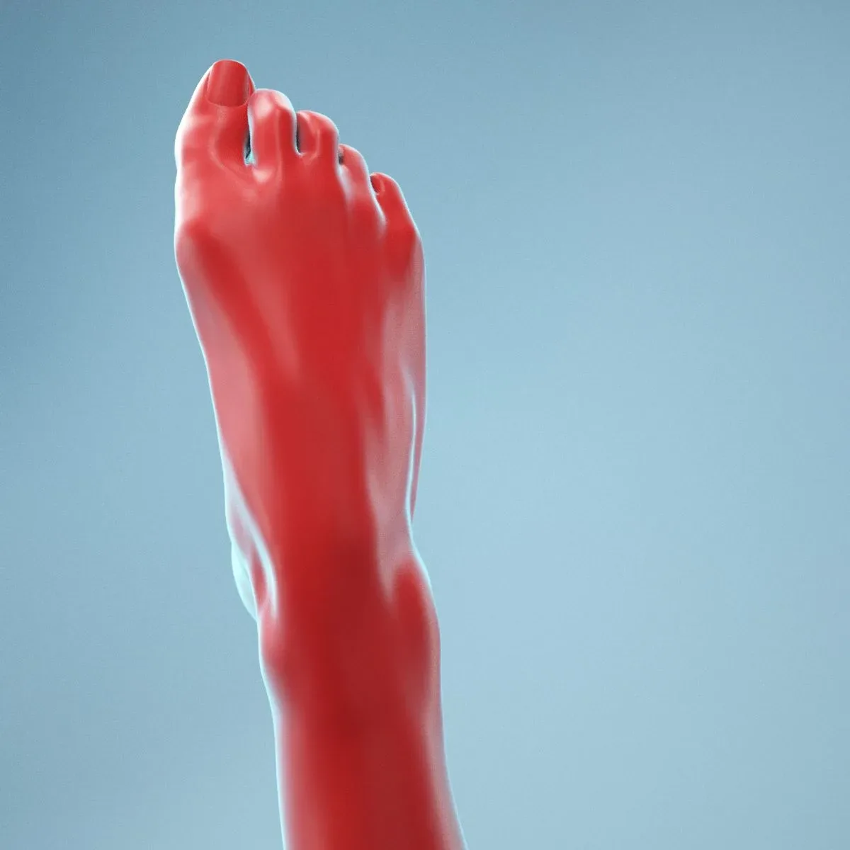 Crunched Toes Realistic Foot