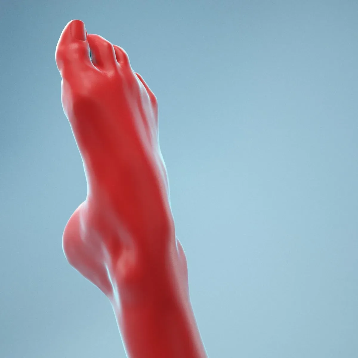 Crunched Toes Realistic Foot