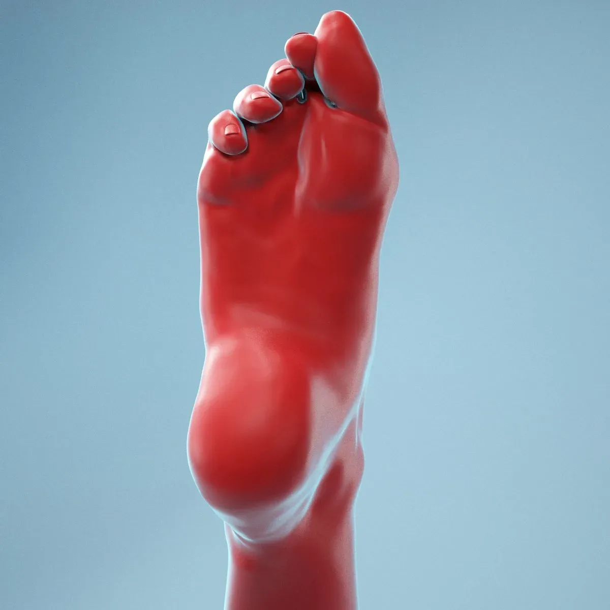 Crunched Toes Realistic Foot