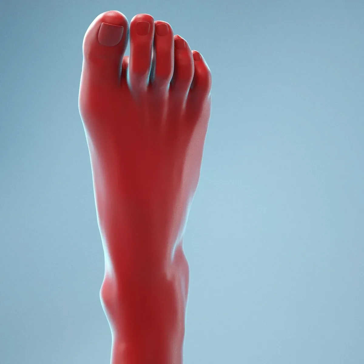 Neutral Pose Realistic Foot