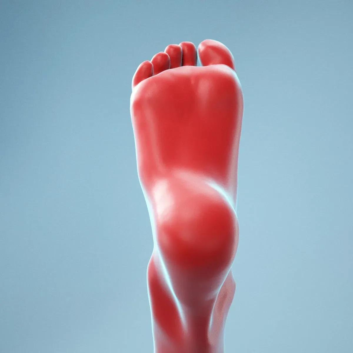 Neutral Pose Realistic Foot