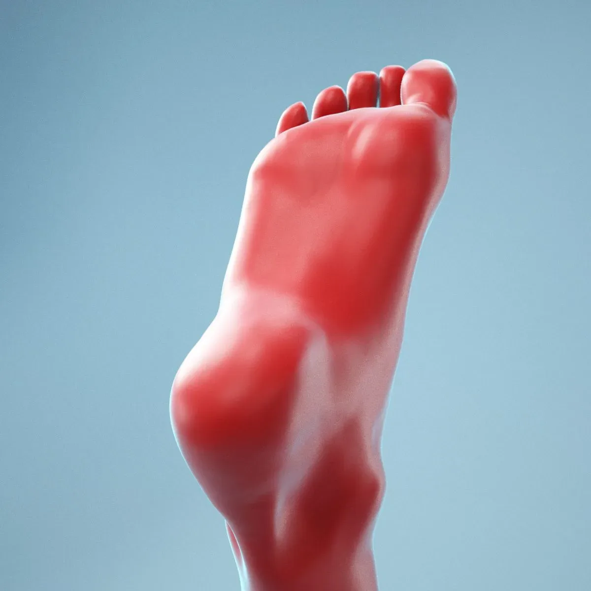 Neutral Pose Realistic Foot