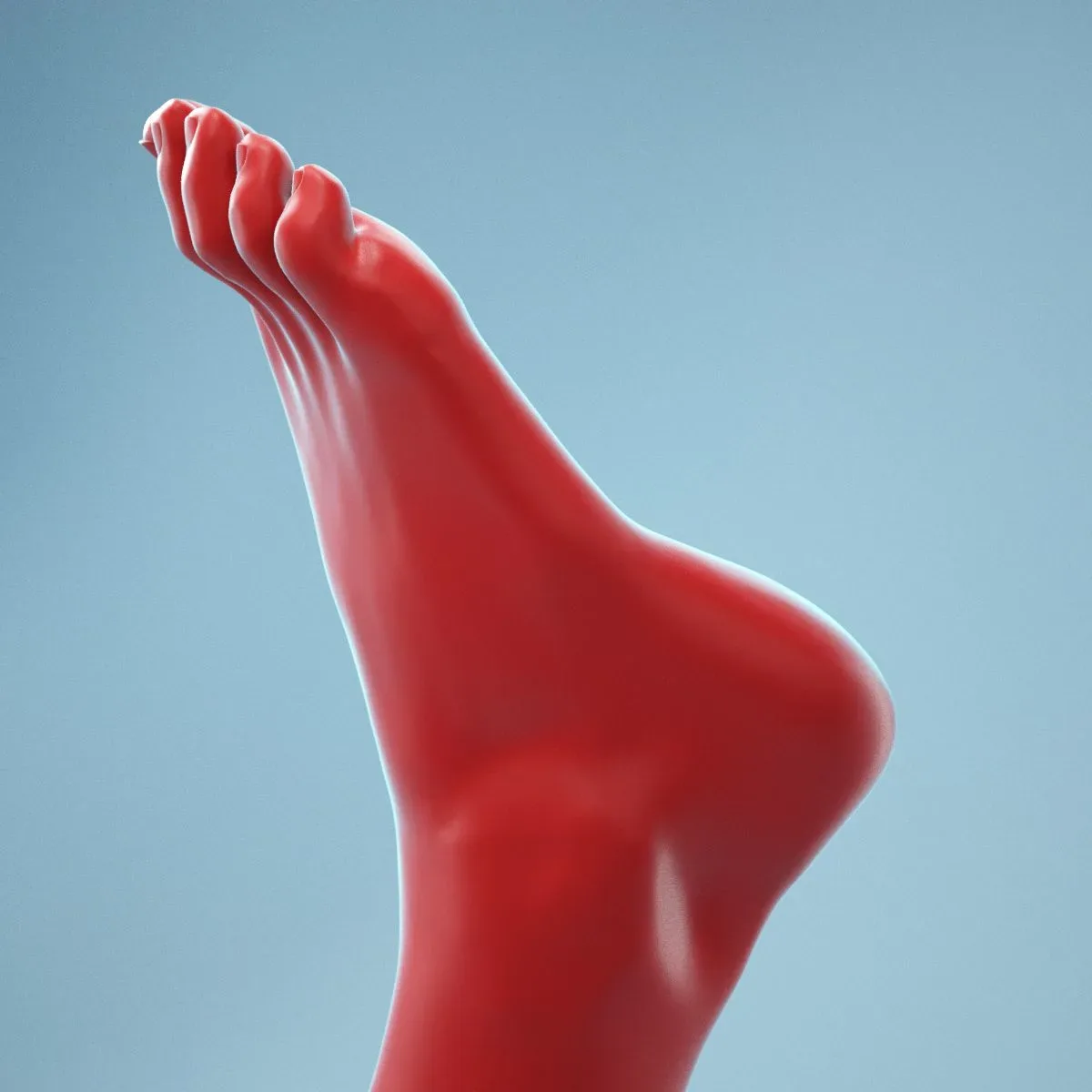 Neutral Pose Realistic Foot