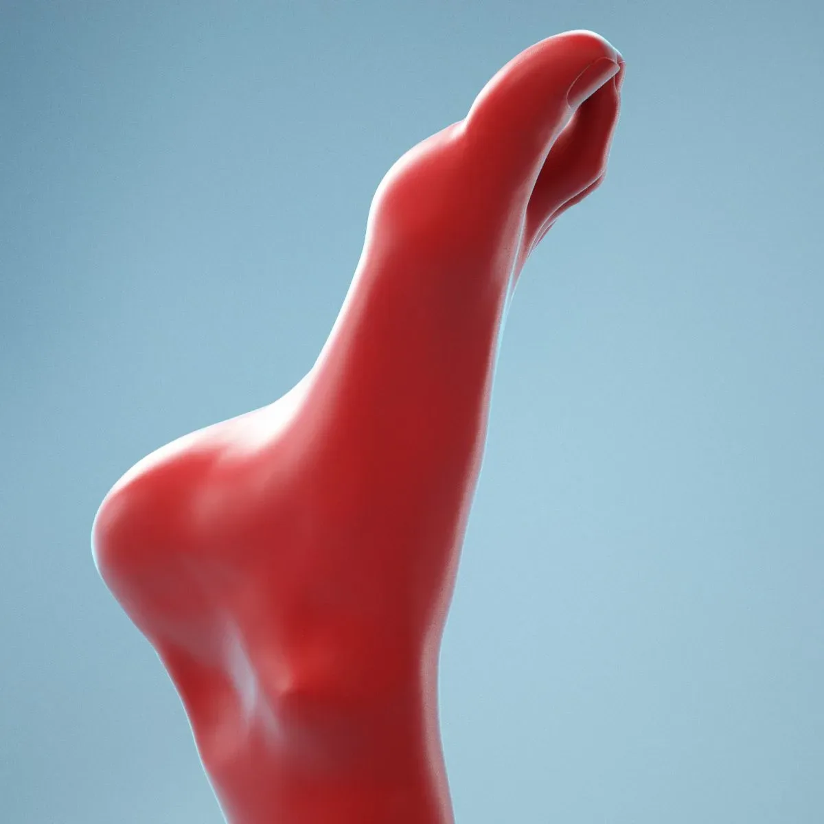 Neutral Pose Realistic Foot