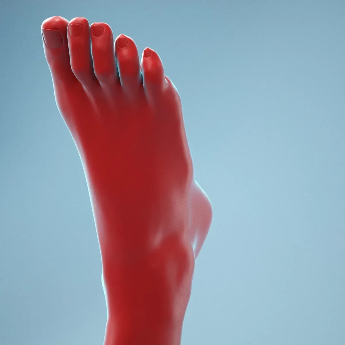 Neutral Pose Realistic Foot