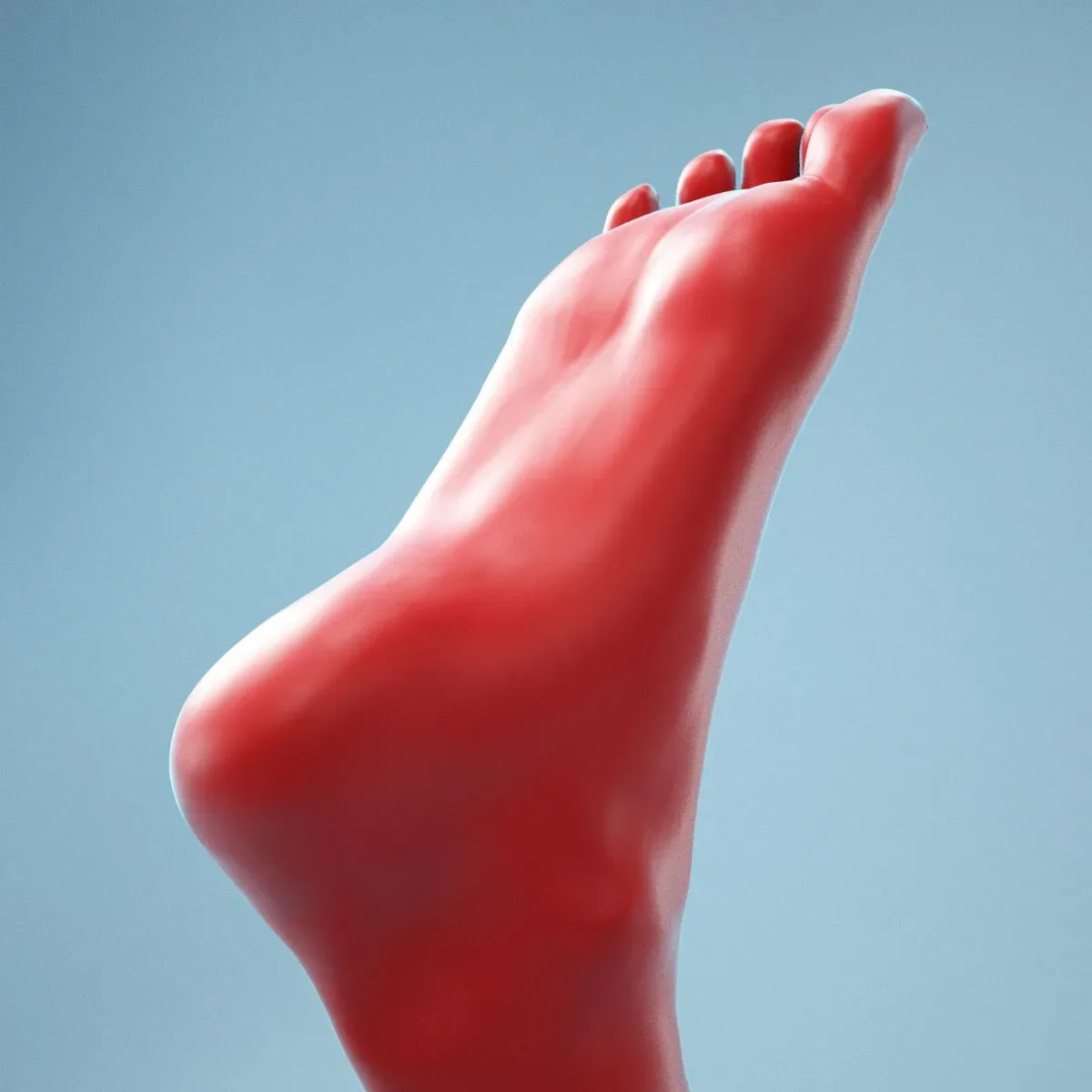 Neutral Pose Realistic Foot