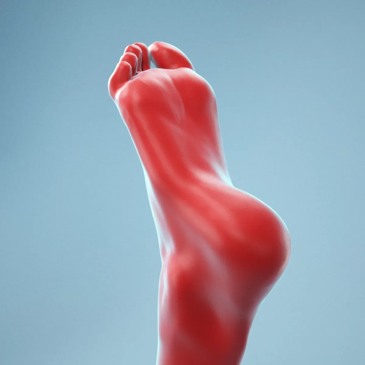 Neutral Pose Realistic Foot