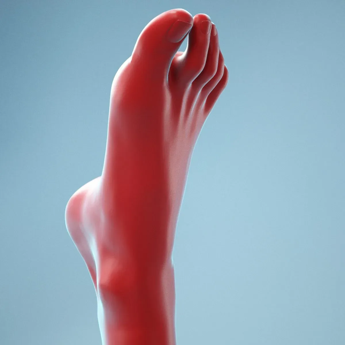 Neutral Pose Realistic Foot