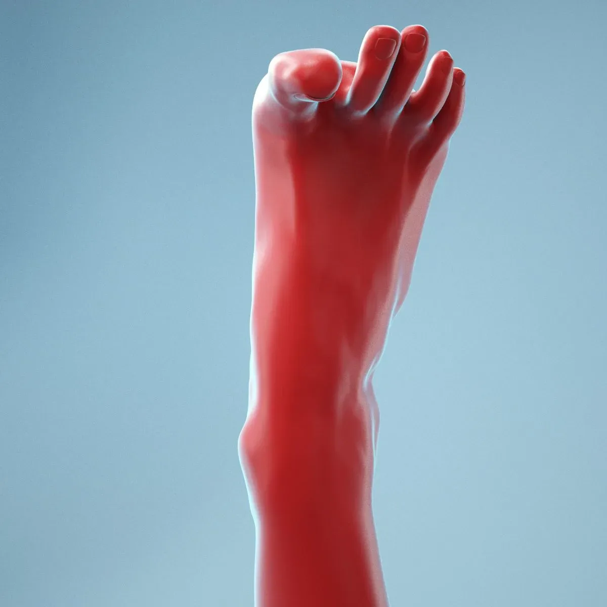 Open Toes Realistic Foot