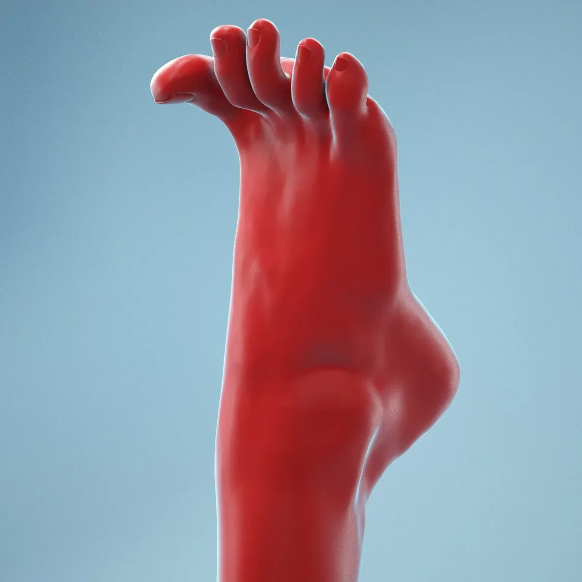 Open Toes Realistic Foot