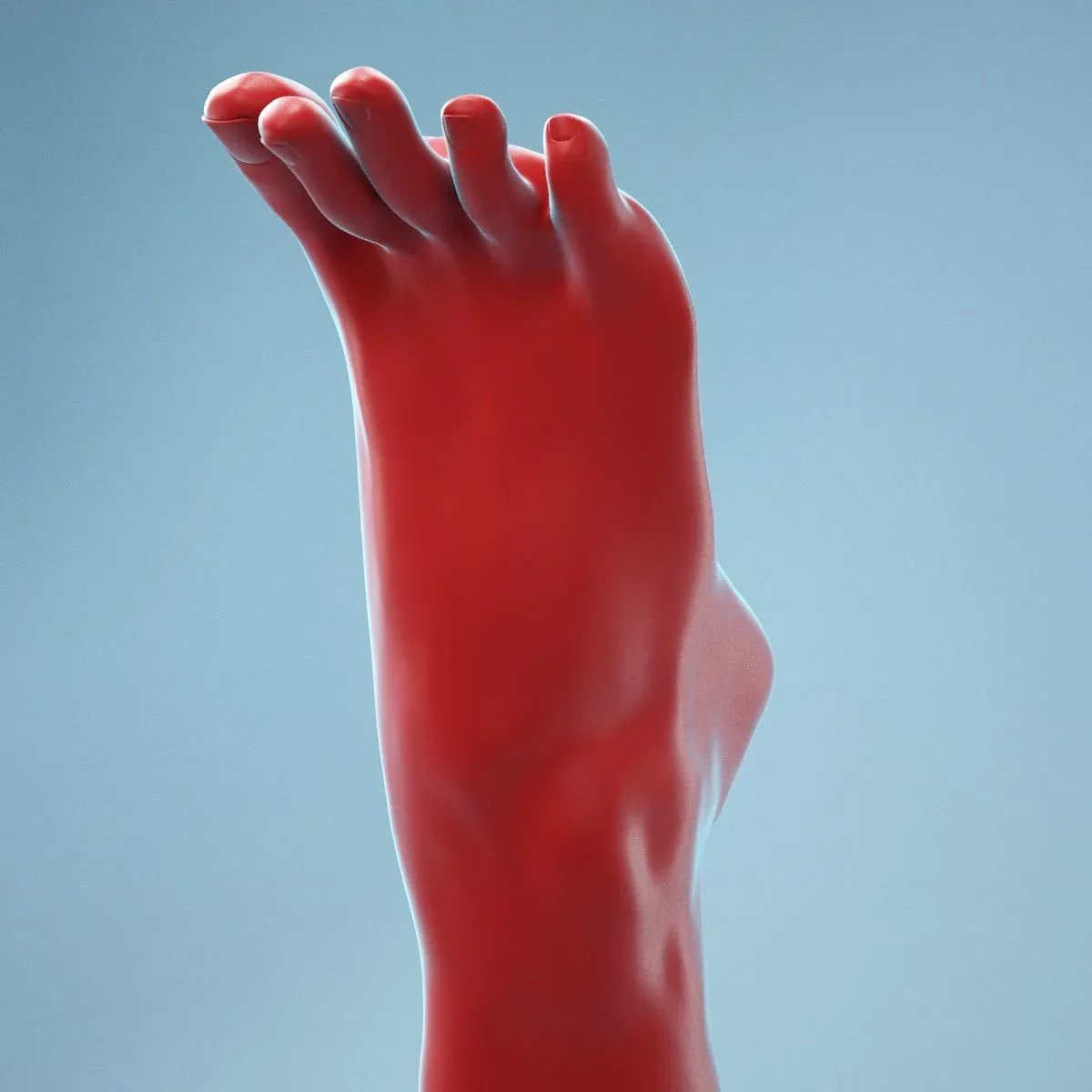 Tip Toes Heeled Realistic Foot