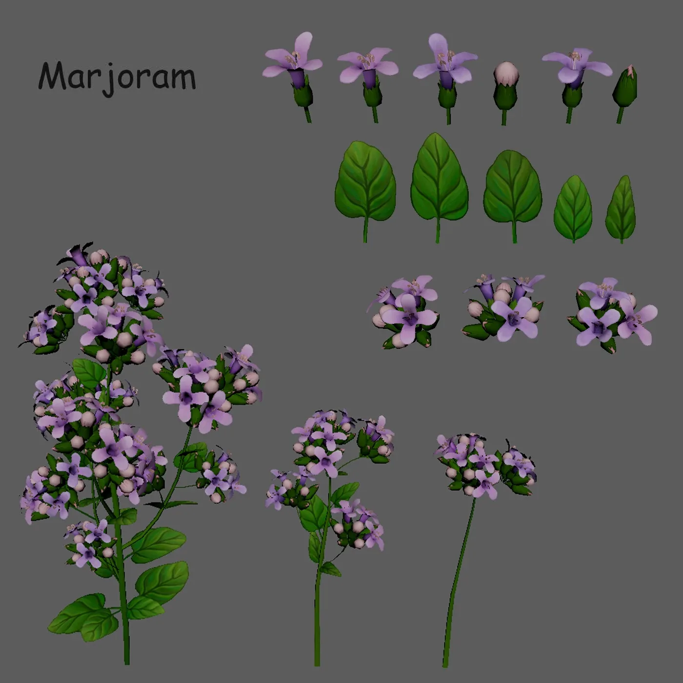 Marjoram stylized plant Low-poly 3D model