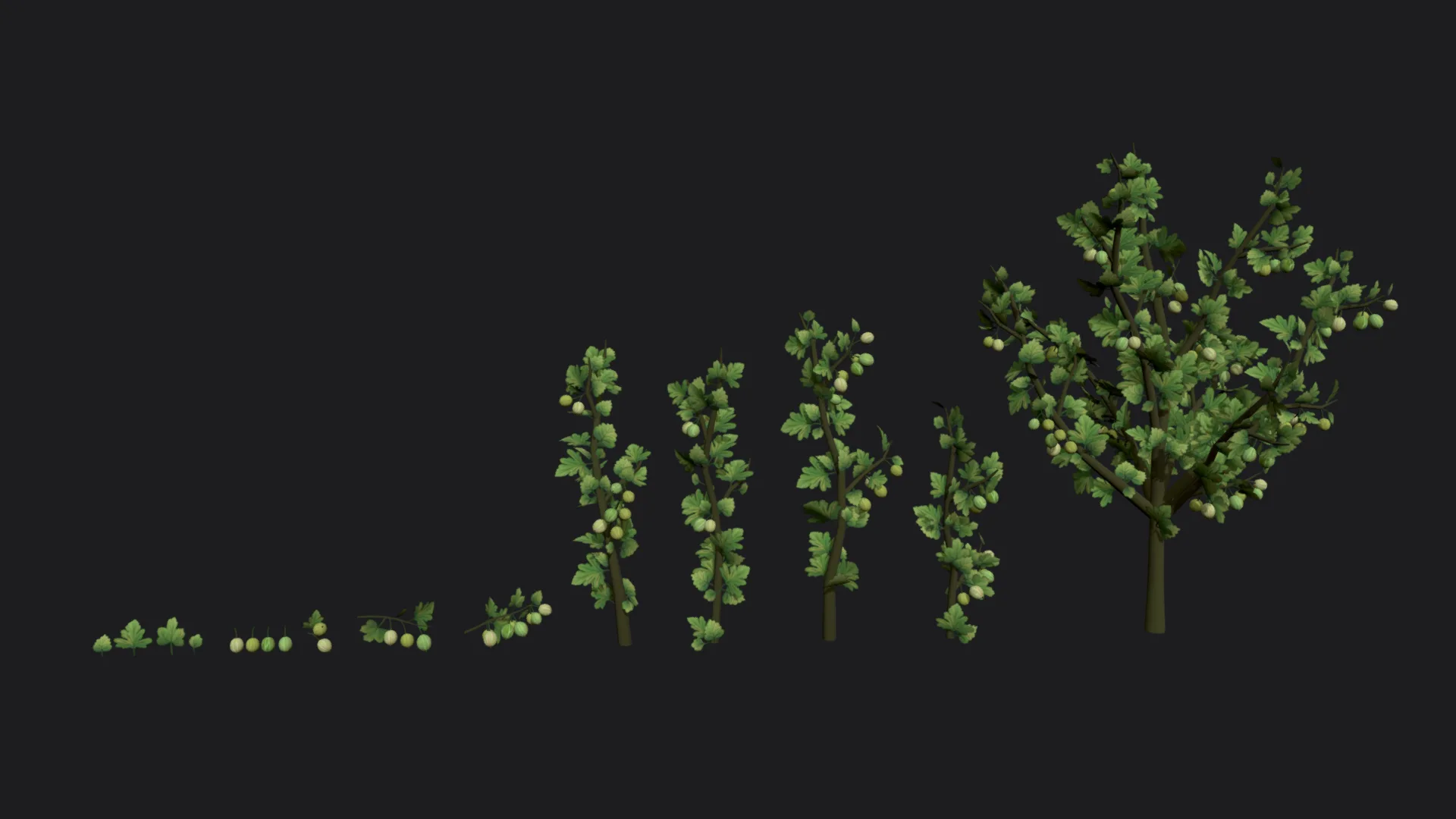 Gooseberry sprig stylized plant