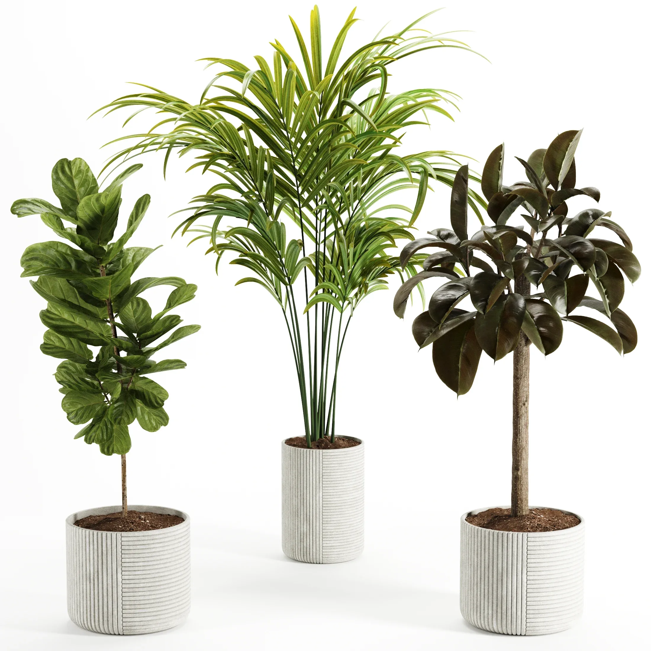 Indoor Plant – Set003