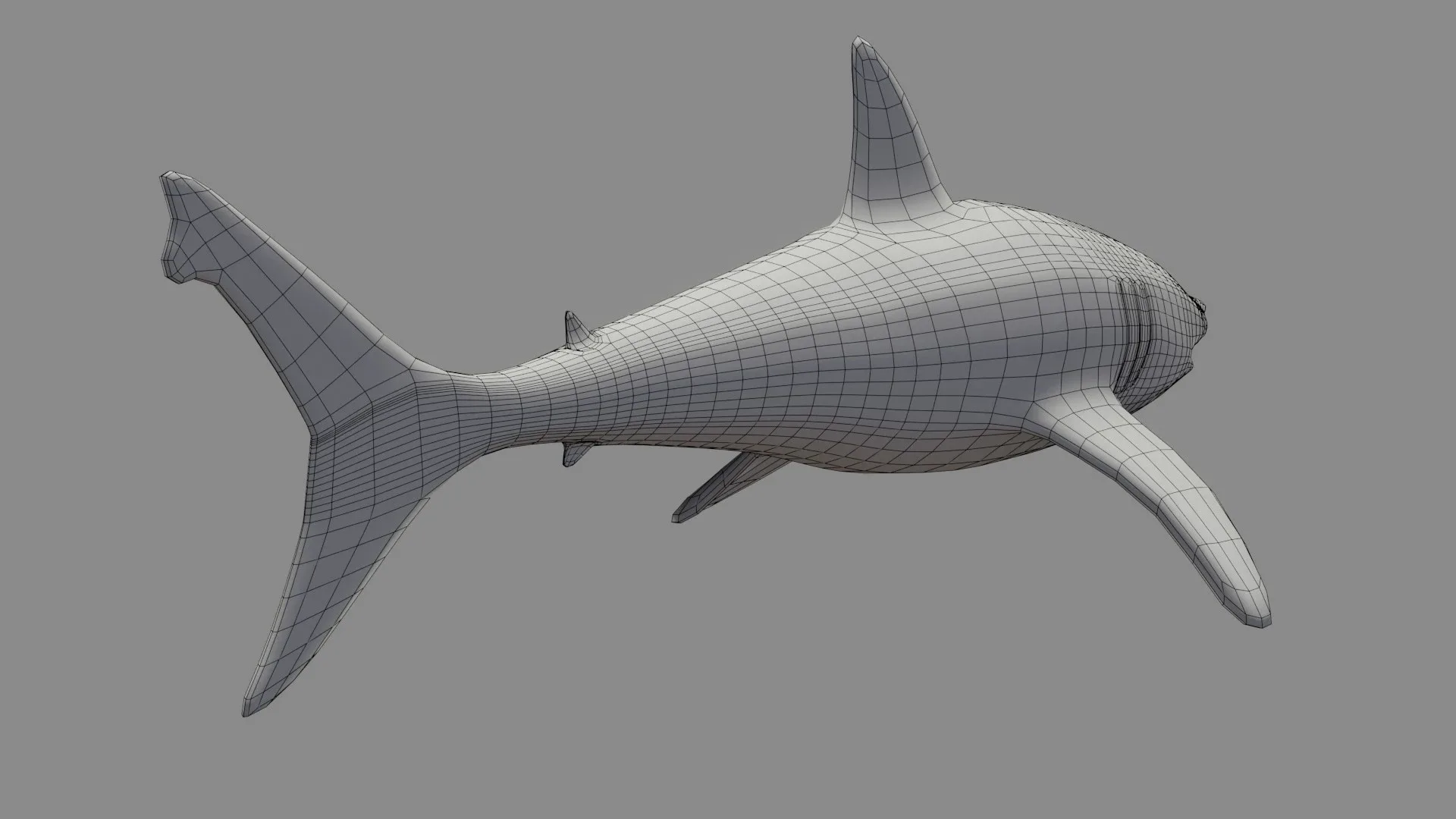 Shark Low Poly - Game Ready - Rigged