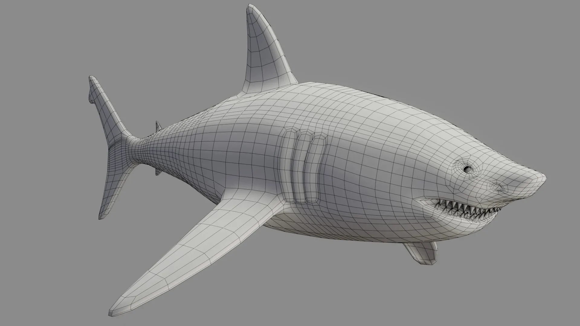 Shark Low Poly - Game Ready - Rigged