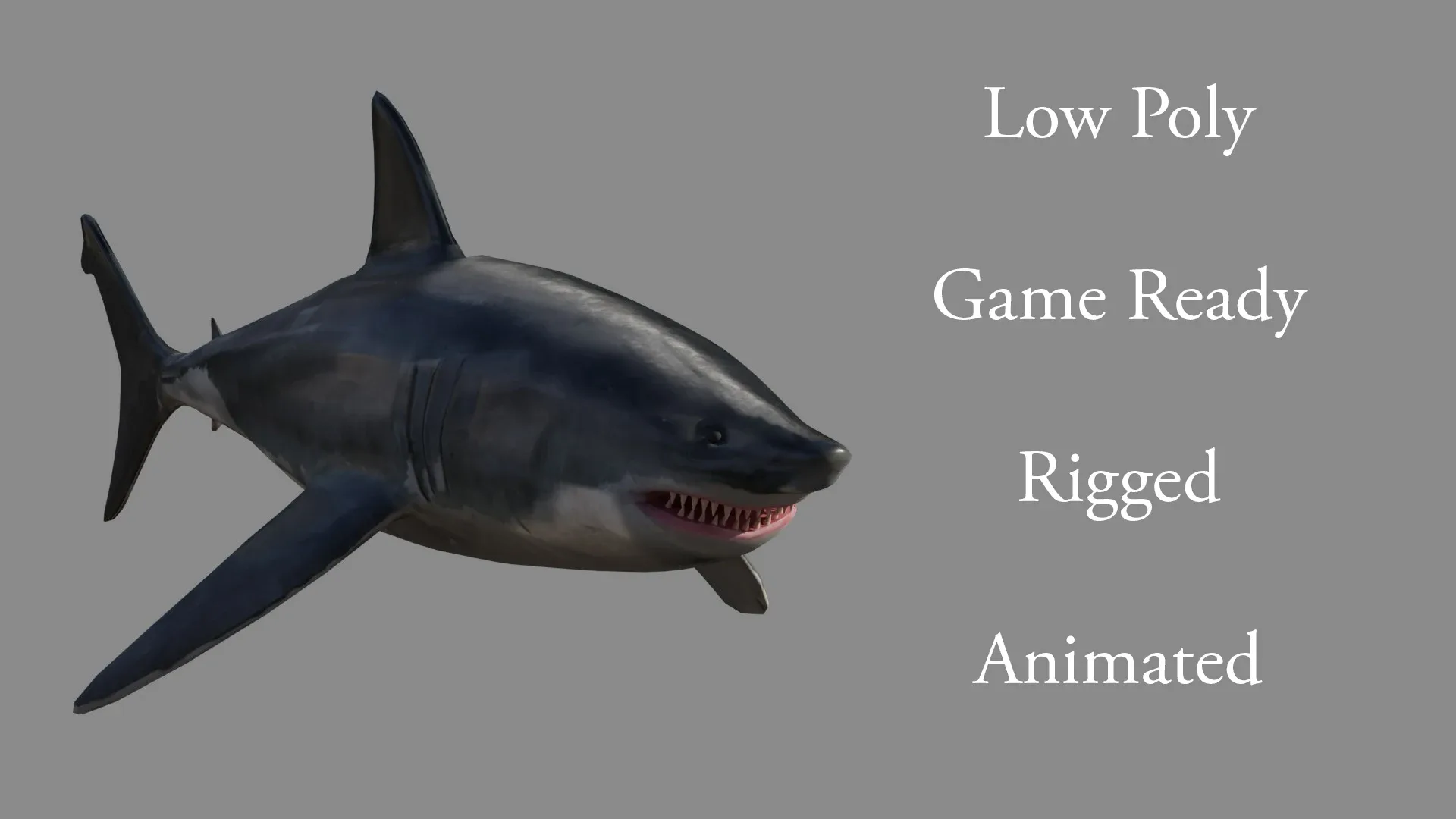 Shark Low Poly - Game Ready - Rigged