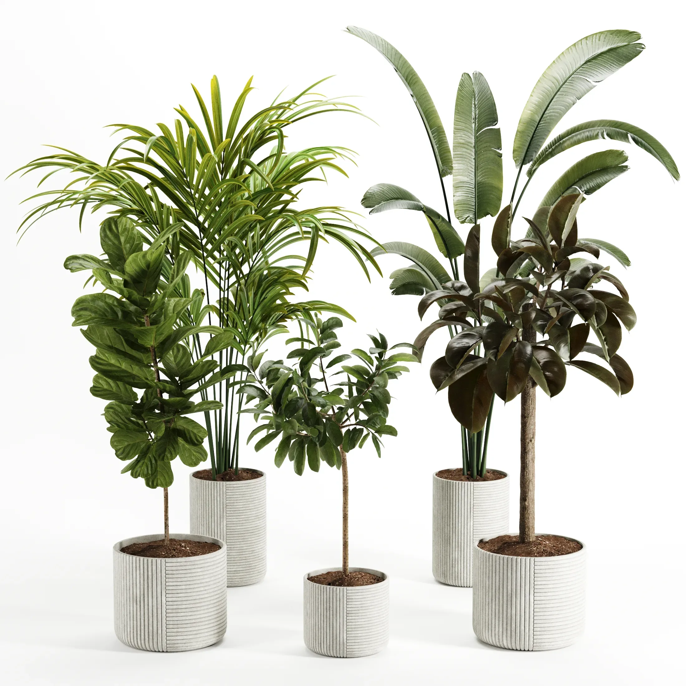 Indoor Plant – Set003