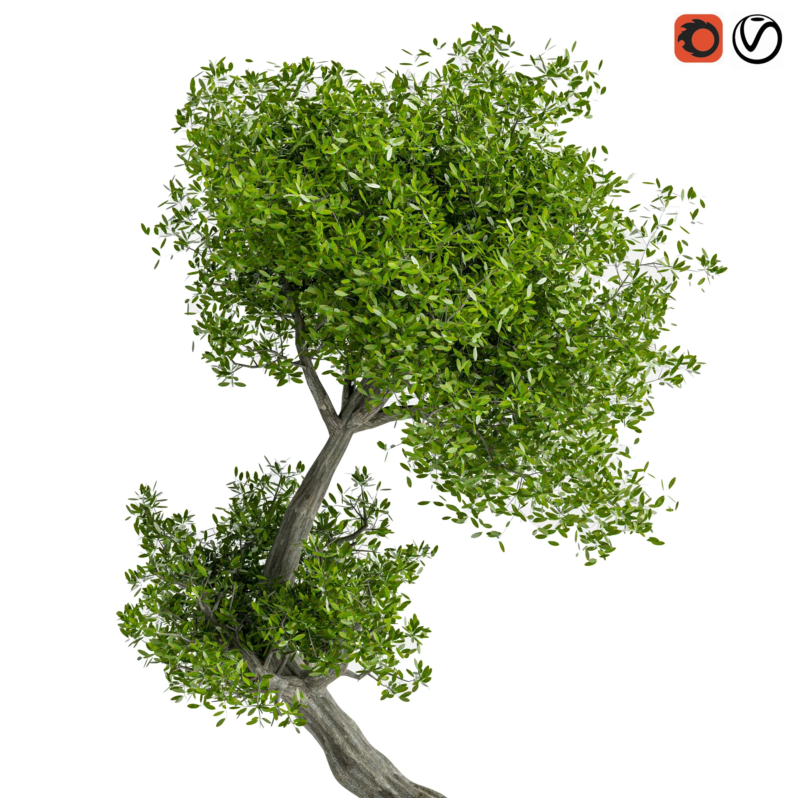 Stylized Tree