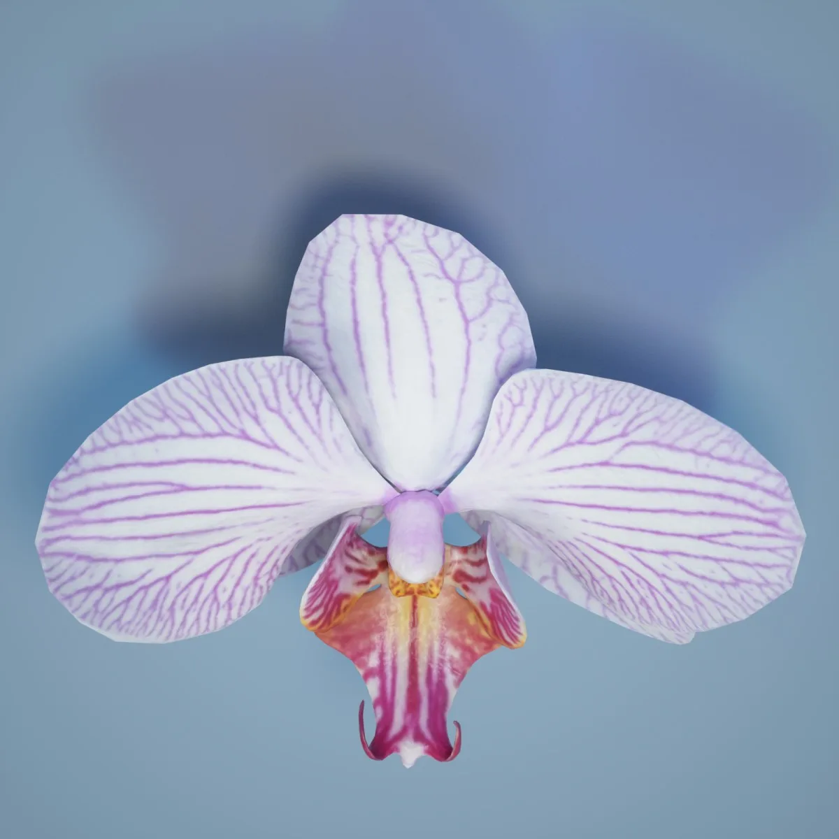 6 Orchid Flower Collection