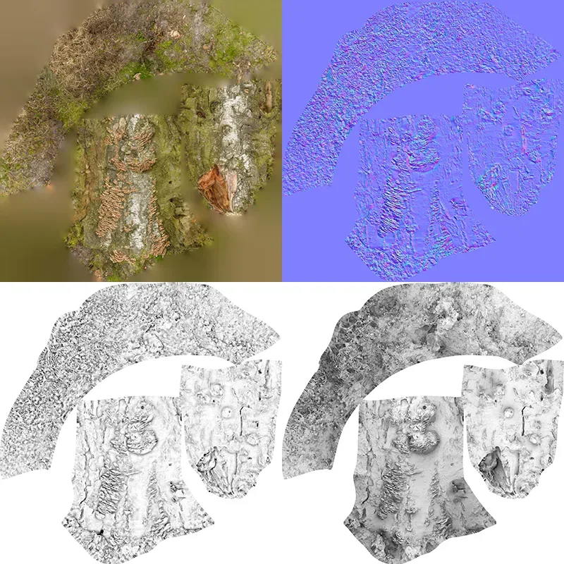 Cute Stump Bark Tree