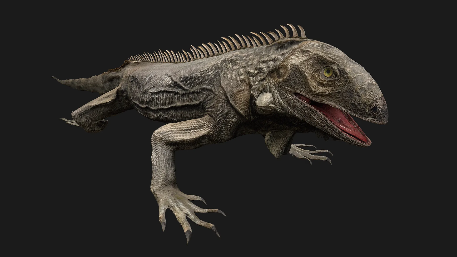 Reptile Crocodile Varan Iguana