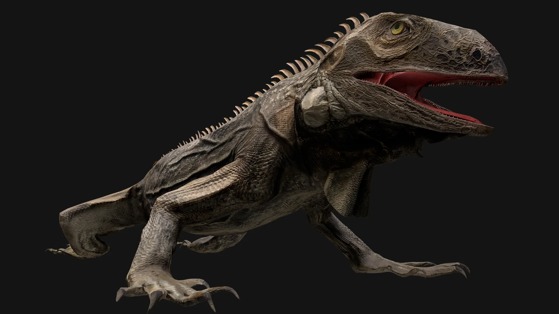 Reptile Crocodile Varan Iguana