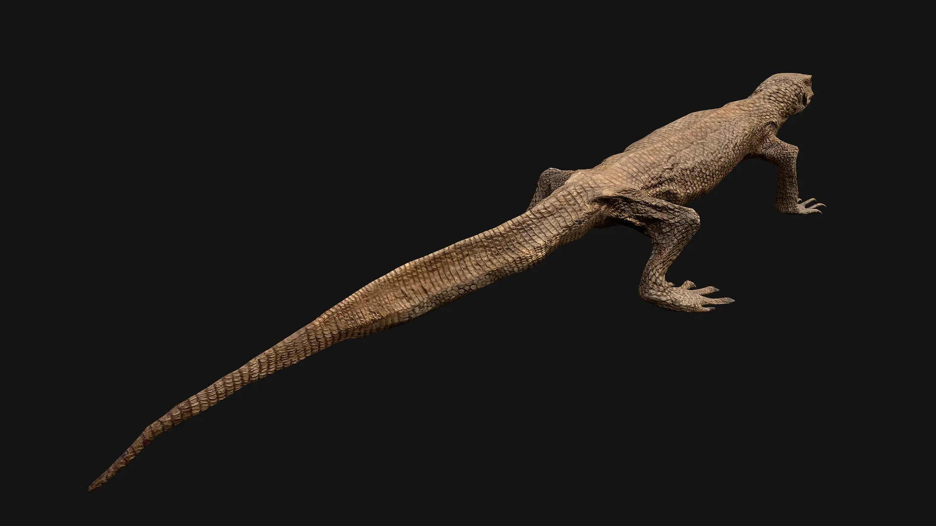 Reptile Crocodile Varan Iguana