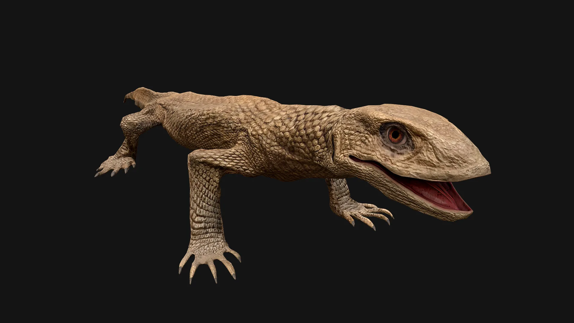 Reptile Crocodile Varan Iguana